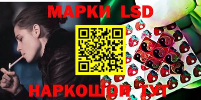 гидропоника Будённовск