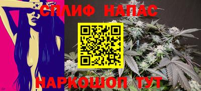 гидропоника Будённовск